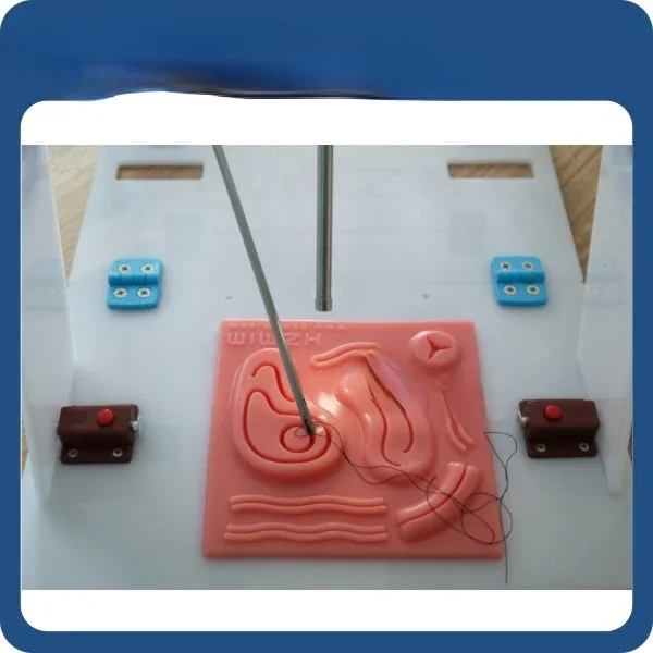 Laparoscopic Endo Trainer with - Woodworking Simulator ulasan dan harga
