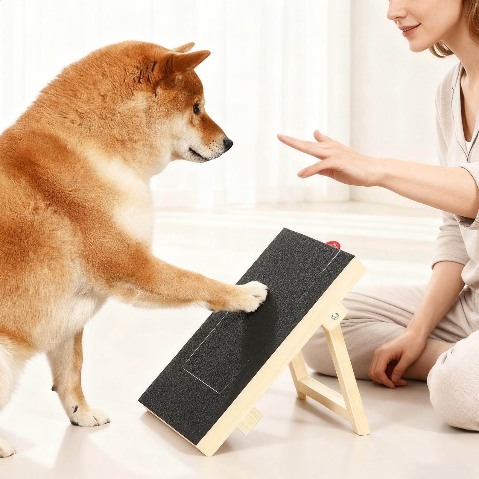 Wooden Pet Scratching Board fo - Woodworking Magazine ulasan dan harga
